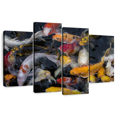 Brampt Abundant Koi Fish