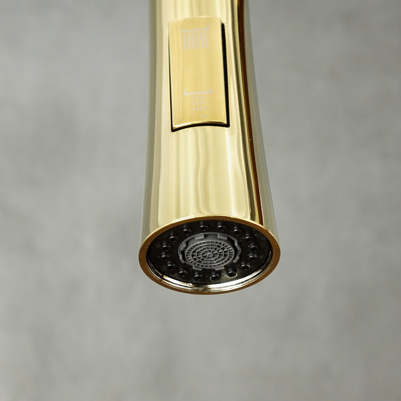 Belfry Kitchen Kitchen Faucet, Gold/Black