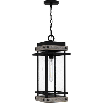 Lanterne suspendue d'extérieur 1 lumière Acoidan