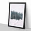 Fir Tree Forest in Winter in Abstract - Picture Frame Painting Print-55609312-55609311