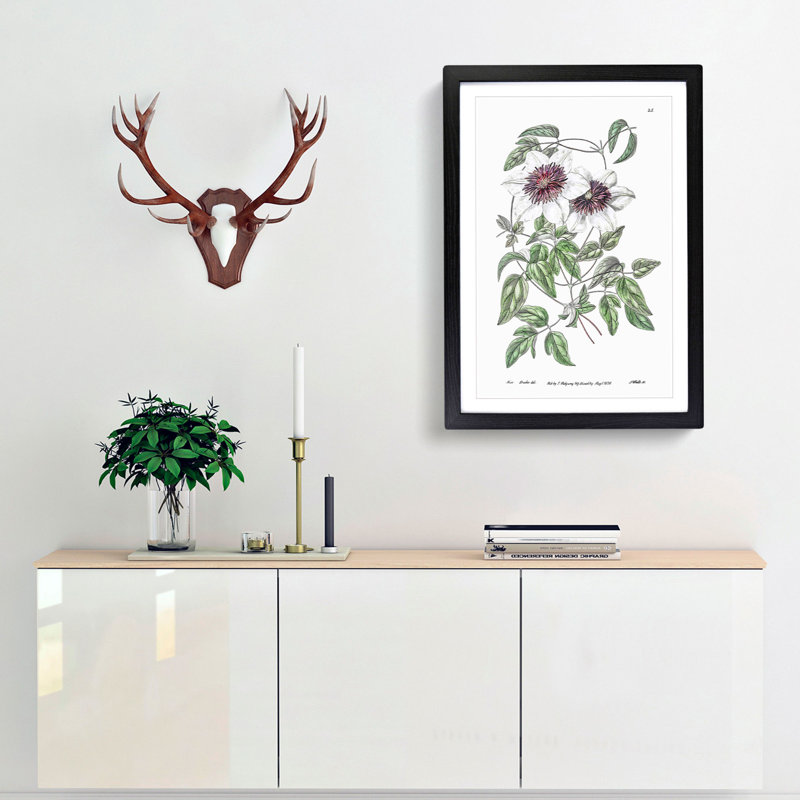 White Leather Clematis Flower - Picture Frame Art Prints, Black Framed, 36cm H x 27cm W x 2cm D