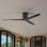 Eliza Ceiling Fan