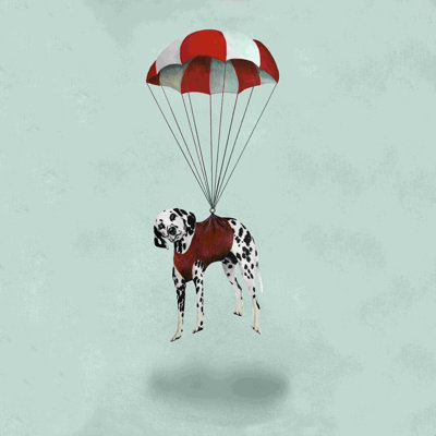 " Flying Dalmatian "