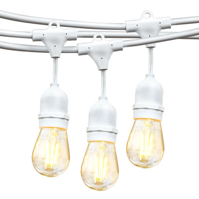 Ambience Pro 48 ft. Plug-In Outdoor Patio LED String Lights with 15 Warm White S14 Edison Bulbs, White Cord, Weatherproof