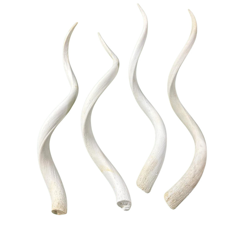 Jontavis Kudu Inner Horn Bone