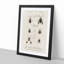 Insect Illustrations PL.6 by Charles dOrbigny - Framed Print-55575987-55575986