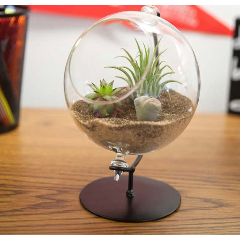 Glass Terrarium