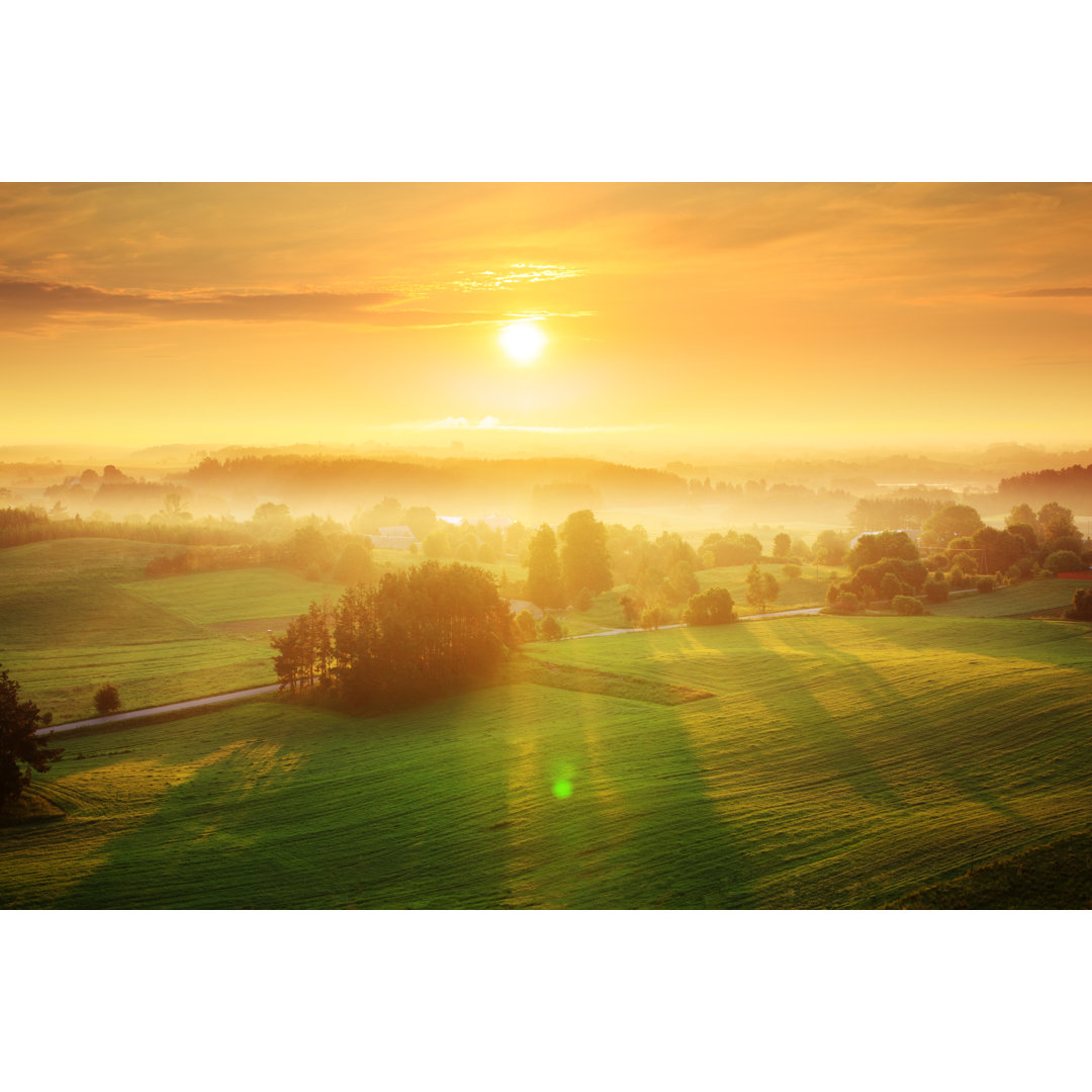 Nebliger Sonnenaufgang - Kunstdrucke auf Leinwand