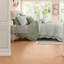 Ensembles de literie vert sauge confortables, texture polyester pour maison moderne
