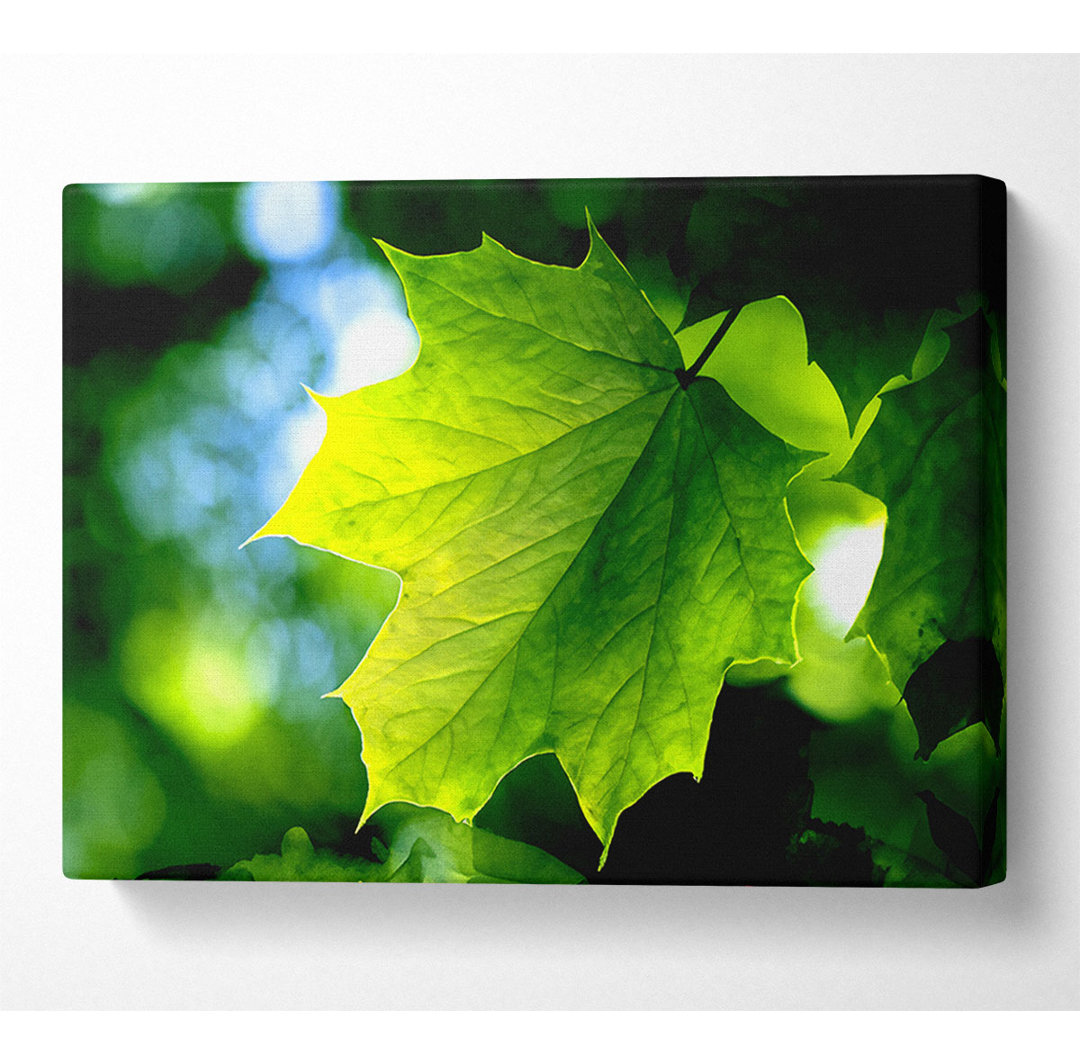 Green Leaf - Kunstdrucke auf Leinwand - Wrapped Canvas