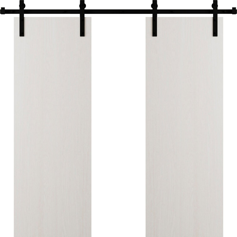 Modern Barn Door - ESSENTIAL 8001 - 6.6FT Rail Track Heavy Hardware Set - Solid Panel Interior Doors, Ash Franko_Black, 2
