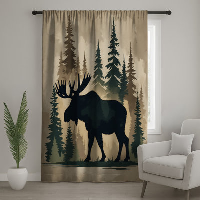 Moose In Forest