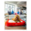Tapis pour lit de qualité supérieure Rugs.com-100613956-110734652