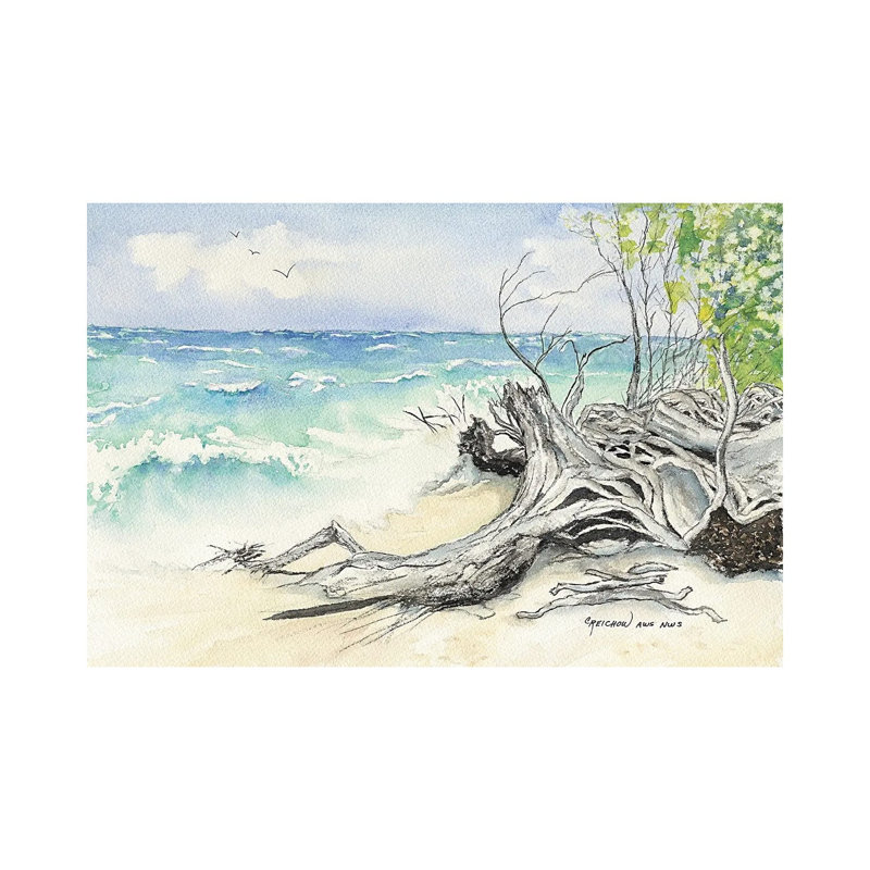 After The Storm by Christine Reichow - Wrapped Canvas Painting, 20.32 cm H x 30.48 cm W