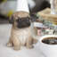 Polyresin Garden Statue-1244626901