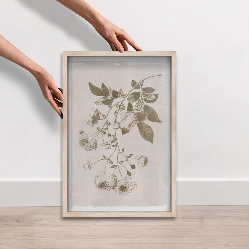 Oliver Gal Illustration of Flowers Floral and Botanical - Luxury Shadowbox Framed Wall Art, Cream, 25" H x 17" W