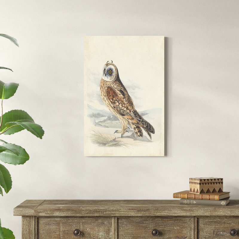 Hibou Meyer, H 30 po x l 20 po x P 1,25 po