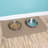 RITZ Accent Rug-1342327205-1343899562