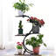 Plant Stand