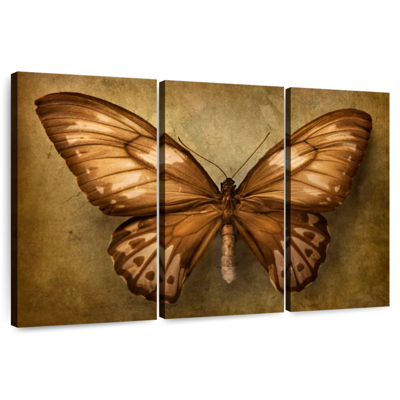 Vintage Butterfly, 48" H x 74" W