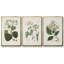 Forêt arctique I 3 pièces-97758022-97758026