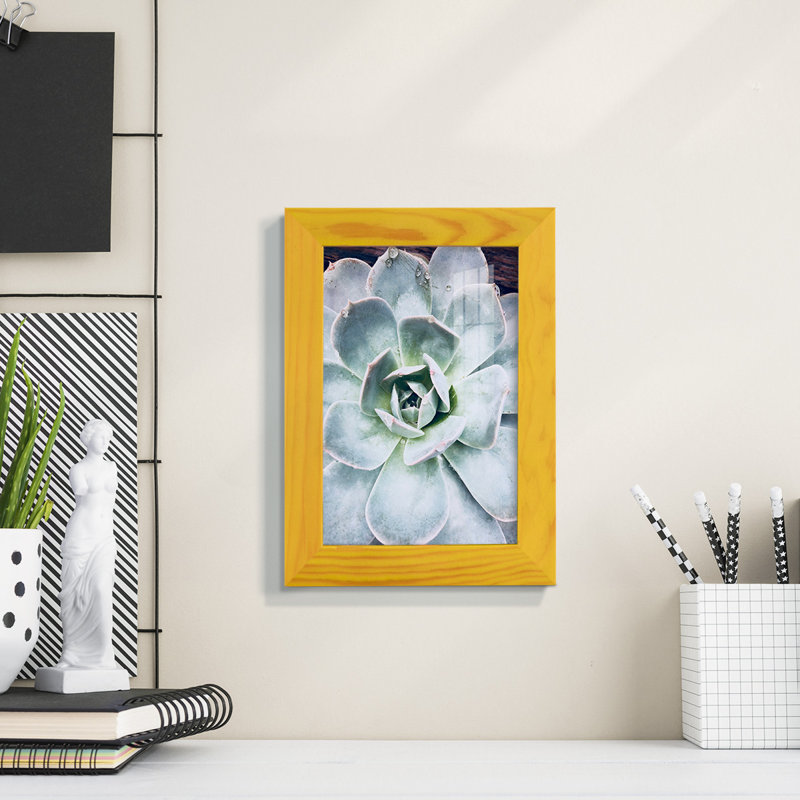 Pastel Succulent Beauty IV, reproduction d'art encadrée, H 7 po x l 5 po x P 1 po, Jaune