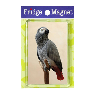 Fridge Magnet