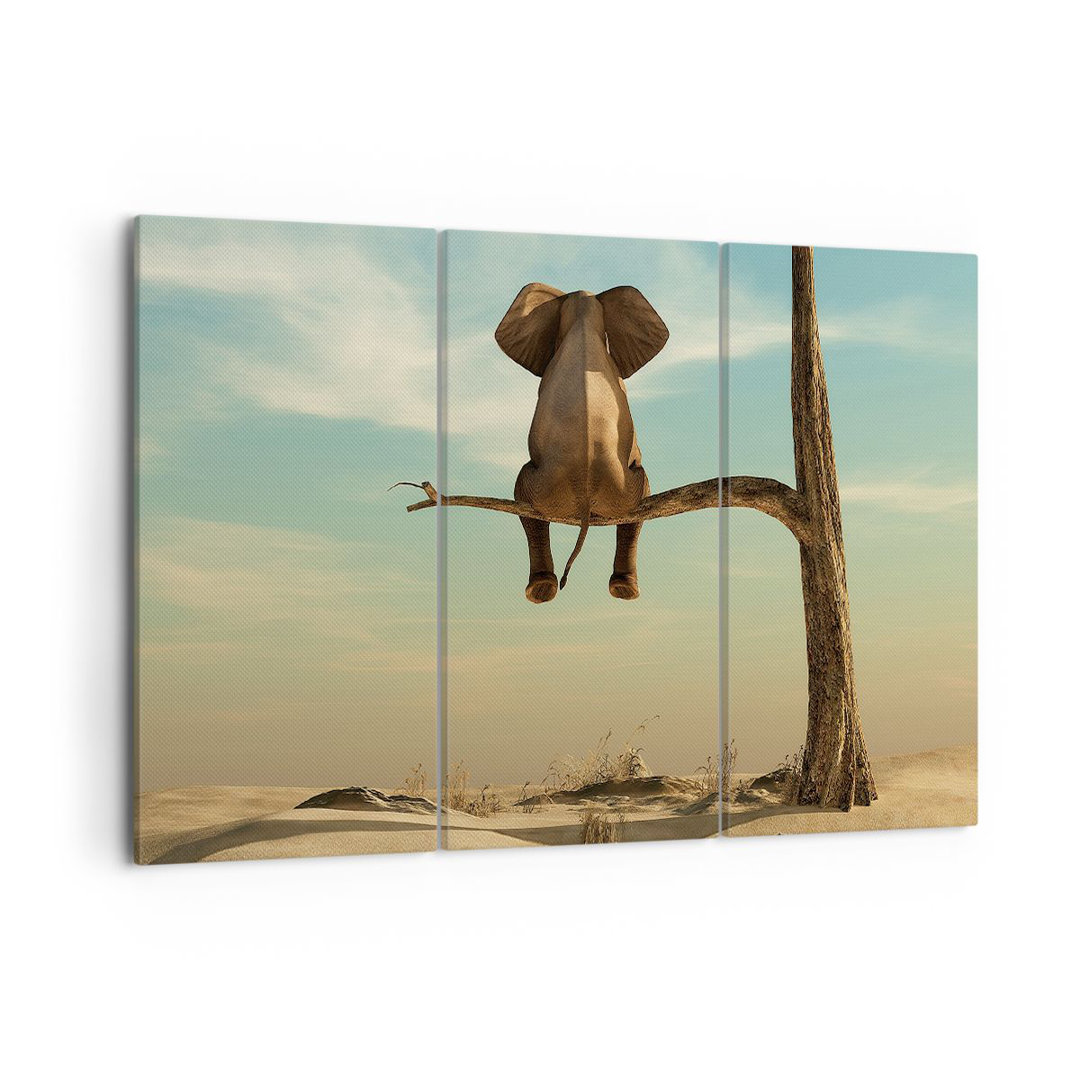 3-tlg. Leinwandbilder-Set Elephant Sitting Branch