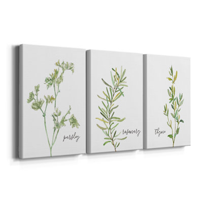 Fresh Sprig Parsley  -Custom Wrapped Gallery Canvas - 3 Pieces