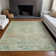 Machine Washable Indoor/Outdoor Claudian ACN1636 Sage Rug