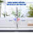 Single Handle Kitchen Faucet with Pull-Down Sprayer