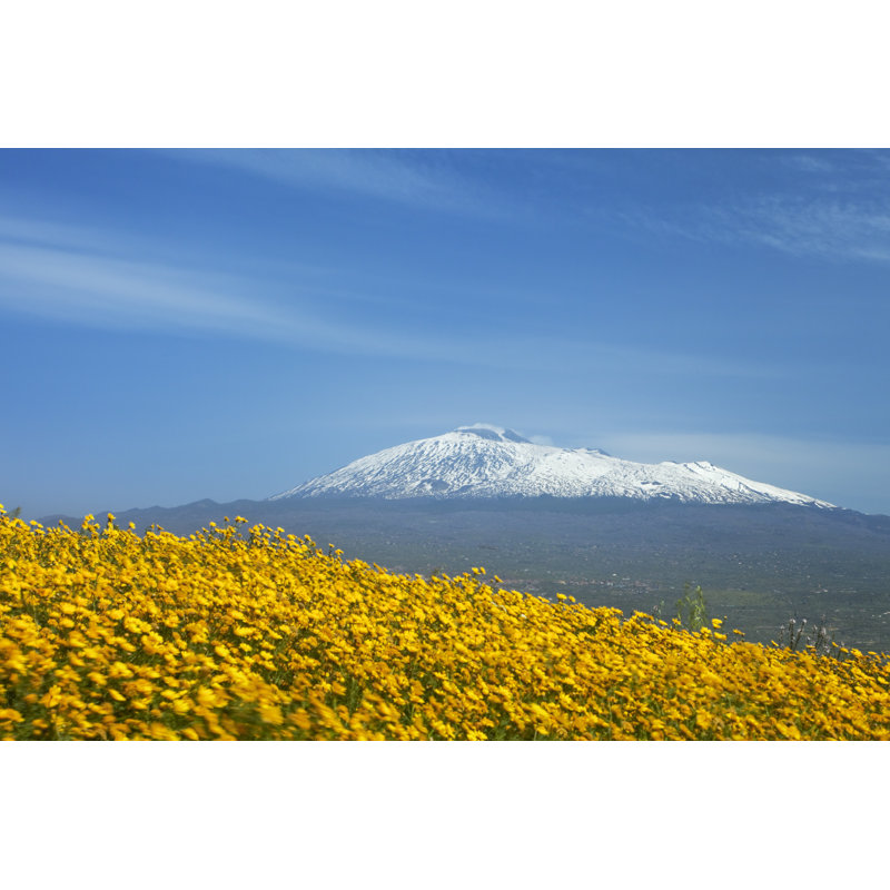 Rural Landscape With Spring Flowers by Sara_winter - Wrapped Canvas Print, 81cm H x 122cm W x 3.8cm D