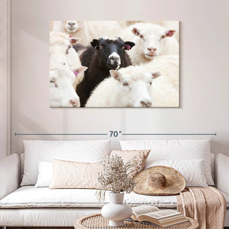 Mouton noir Brampt, H 30 po x l 45 po