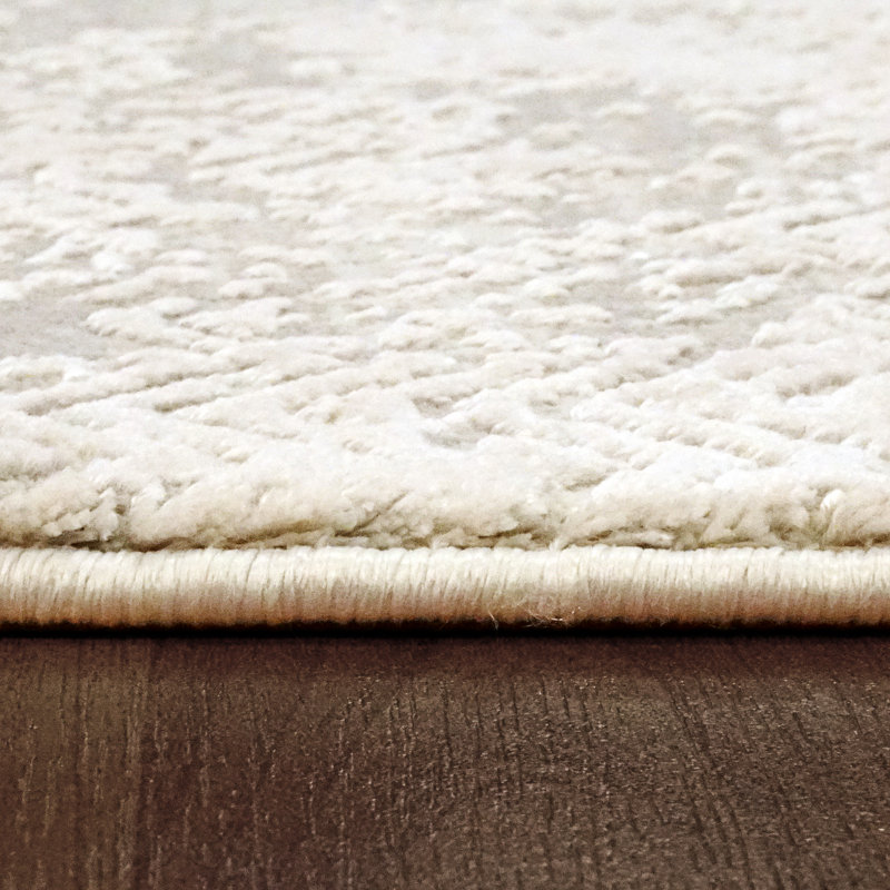 Shaniya Abstract Indoor Rug, Rectangle 2' x 3'11"
