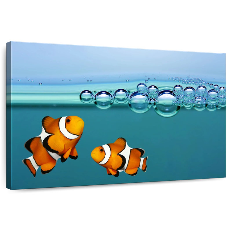 Brampt Clownfish Blowing Bubbles, 24" H x 36" W