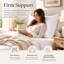 Ensemble de 1 oreiller en duvet avec housse 100% coton Continental Bedding Affinity-525275446-525275444