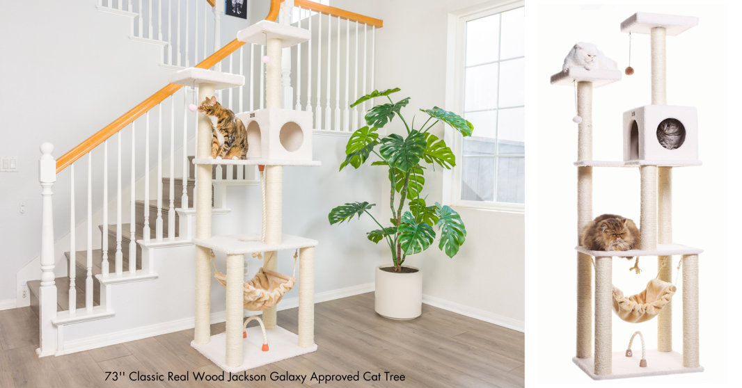 Armarkat cat trees can fit into any style of home. The colors match any interior design style.