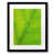Black Framed Paper selected