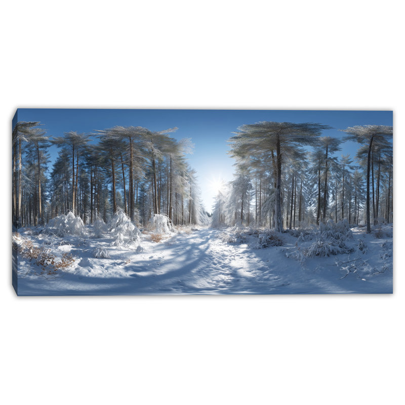 Art mural sur toile Sunlit Winter Path, 20 po x 40 po
