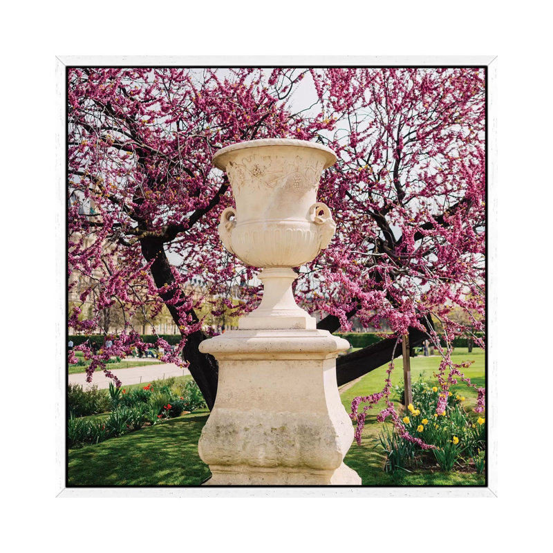 Tuileries Garden VI by Bethany Young - Print on Canvas, 45.72cm H x 45.72cm W x 3.81cm D, White Framed