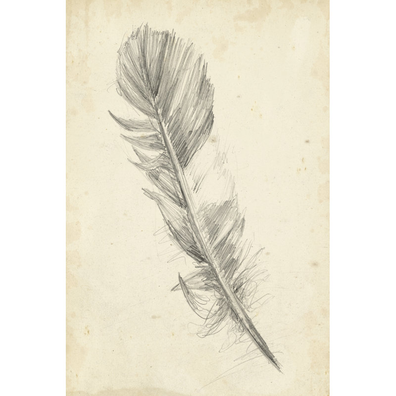 Feather Sketch I by Ethan Harper - Wrapped Canvas Art Prints, 91cm H x 61cm W
