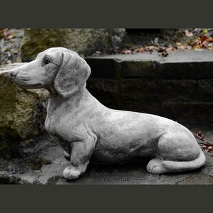 grey dachshund