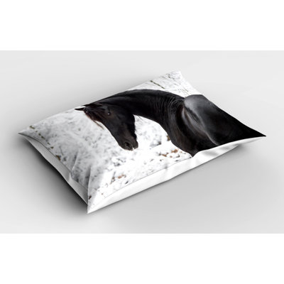 Polyester Sham Set