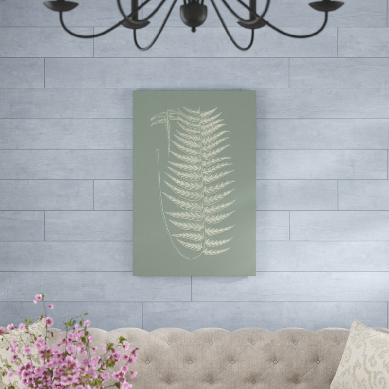 Ferns On Sage VIII by Vision Studio - Painting on Canvas, 91cm H x 61cm W, Wrapped Canvas
