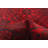 Hollifield Red Rug 4'4" x 6'7"