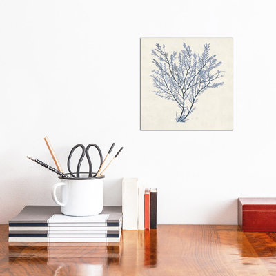 Indigo Algae II by Jennifer Goldberger - Wrapped Canvas Painting