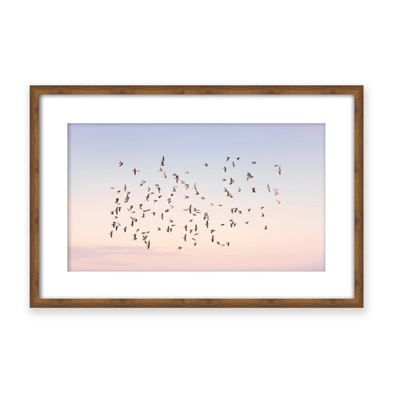 Nature Inspired Sunset Flight by  - Picture Frame Photograph on Paper, Framed Canvas, Brown, 32" H x 48" W x 2.375" D
