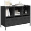 Aybike 101.5cm Sideboard-26799204