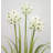 99cm Flowering Tree in Metal Planter