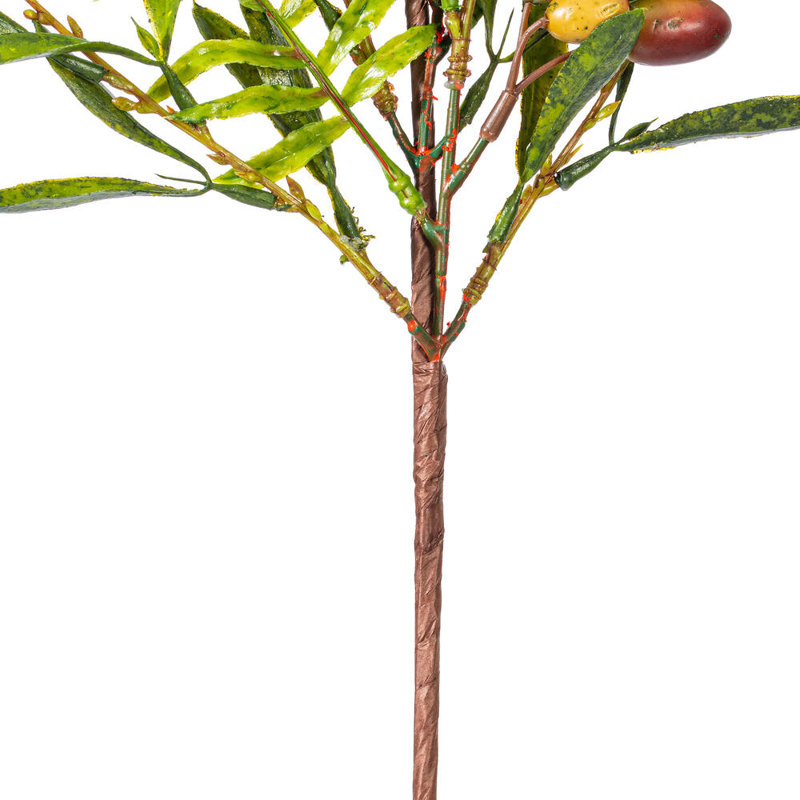 27 plantes